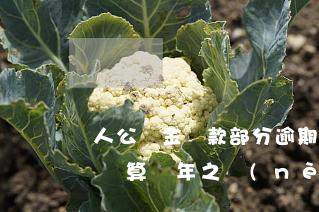 個人公積金貸款部分逾期(公積金貸款有逾期記錄算幾年之內(nèi))