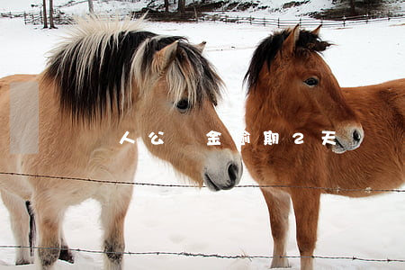 個人公積金逾期2天