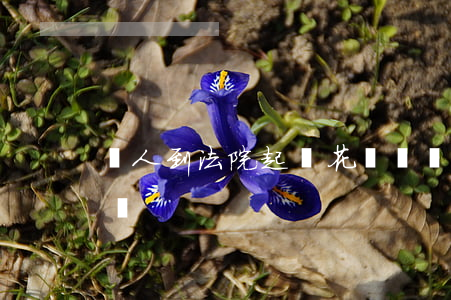 個人到法院起訴花錢嗎(個人去法院起訴麻煩嗎)