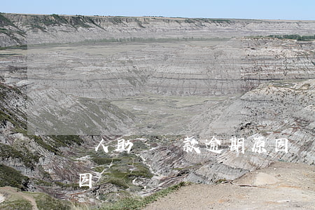 個人助學貸款逾期原因(個人助學貸款逾期原因)