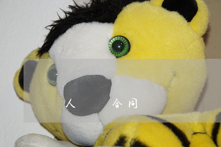 個人勞動合同