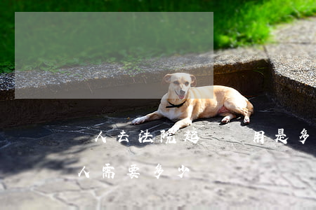 個人去法院起訴費用是多少(去法院起訴一個人需要多少錢)