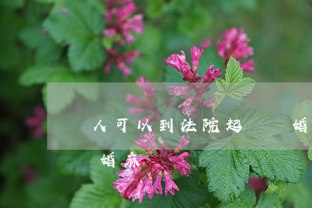 個人可以到法院起訴離婚嗎(自己去法院起訴離婚麻煩嗎)