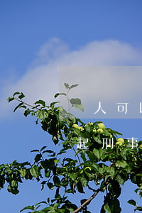 個人可以向法院提起刑事訴訟嗎(個人怎么提起刑事訴訟)
