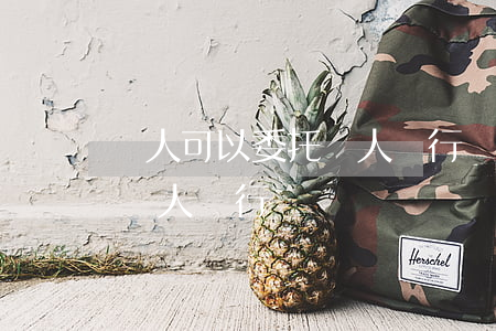 個人可以委托個人進行訴訟嗎(個人可以委托個人進行訴訟嗎)