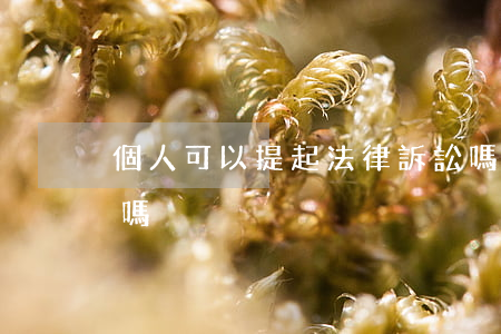 個人可以提起法律訴訟嗎(個人可以直接起訴嗎)