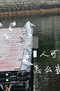 個人可以查詢違法記錄嗎(網(wǎng)上怎么查個人違法記錄)