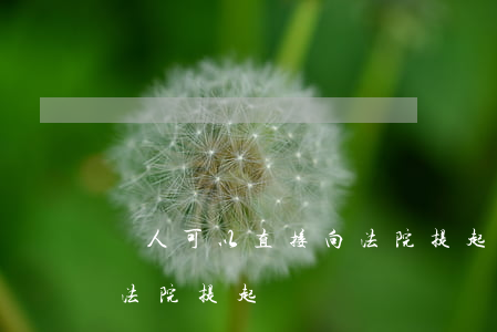 個人可以直接向法院提起訴訟嗎(個人如何向法院提起訴訟)