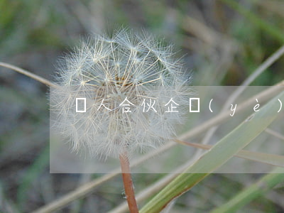 個人合伙企業(yè)該怎樣登記
