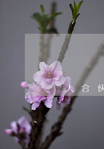 個人合伙糾紛案由(個人合伙糾紛起訴狀范文)