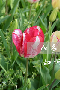 個人名下信用卡逾期了怎么辦(有嚴重逾期記錄如何辦信用卡)