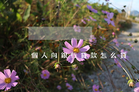 個人向銀行貸款怎么貸