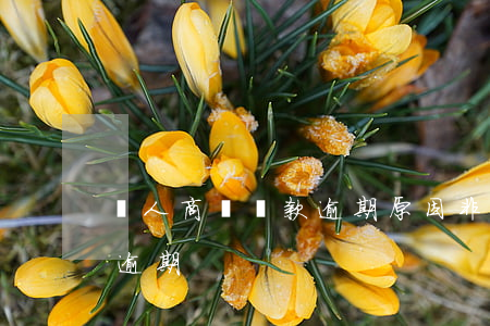 個人商務貸款逾期原因(非個人原因造成貸款逾期)
