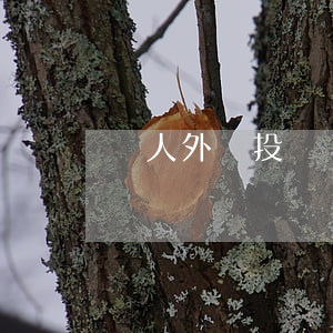 個人外匯投資