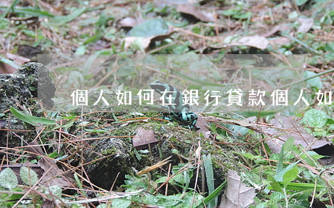 個人如何在銀行貸款(個人如何在銀行貸款)