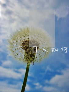 個人如何起訴單位(個人如何起訴單位)
