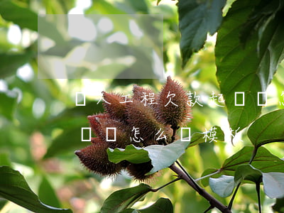 個人工程欠款起訴狀怎么寫(個人工程欠款起訴狀怎么寫模板)