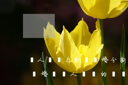 個人帳戶存款屬離婚分割財產(chǎn)(離婚時個人賬戶的錢會不會被分割)