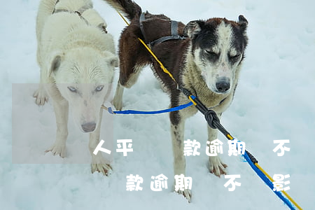 個人平臺貸款逾期會不會影響公司-個人平臺貸款逾期會不會影響公司貸款