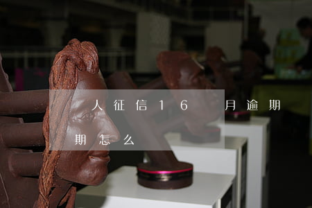 個人征信16個月逾期 個人征信16個月逾期怎么辦