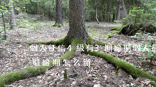 個人征信4級有3期逾期(個人征信4級有3期逾期怎么辦)
