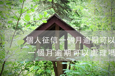 個人征信一個月逾期可以處理嗎-個人征信一個月逾期可以處理嗎