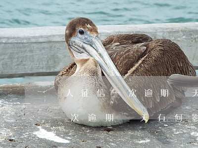 個人征信一次逾期幾天有何影響-個人征信一次逾期幾天有何影響呢