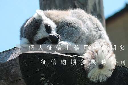 個人征信上信用卡逾期多久能恢復(fù)-征信逾期多長時間可以恢復(fù)