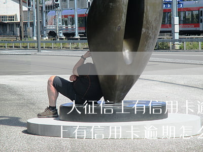 個人征信上有信用卡逾期怎么辦-個人征信上有信用卡逾期怎么辦呢