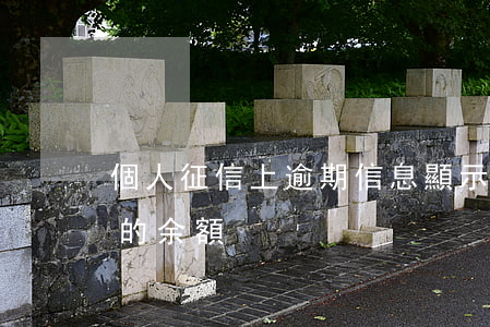 個人征信上逾期信息顯示余額（征信逾期里面的余額）