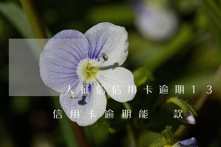 個人征信信用卡逾期13次(征信報告有3次信用卡逾期能貸款嗎)