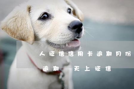 個人征信信用卡逾期月份是4-信用卡4塊錢逾期幾天上征信