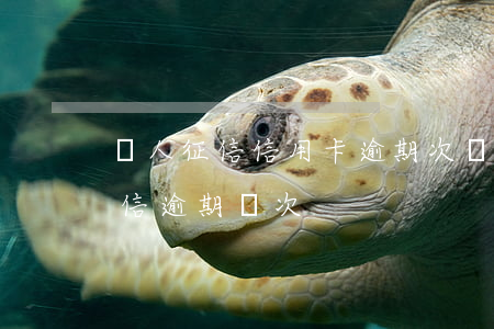 個人征信信用卡逾期次數(shù)(個人征信逾期幾次)