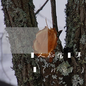 個人征信兩年內(nèi)沒逾期(征信兩年內(nèi)沒有逾期,五年內(nèi)有逾期)