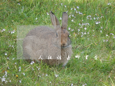 個人征信去哪里查詢