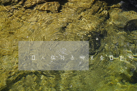 個人征信去哪里查詢(在哪查詢個人征信)
