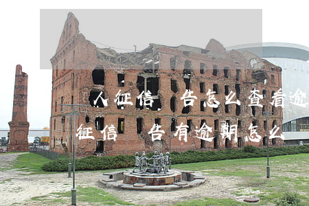 個人征信報告怎么查看逾期 個人征信怎么查?征信報告有逾期怎么辦?