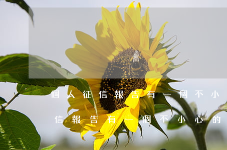 個人征信報告有一個不小心的逾期-個人征信報告有一個不小心的逾期怎么辦