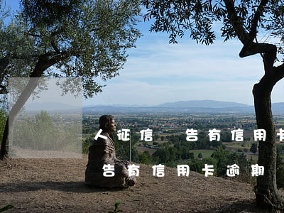 個人征信報告有信用卡逾期記錄-個人征信報告有信用卡逾期記錄影響房貸嗎