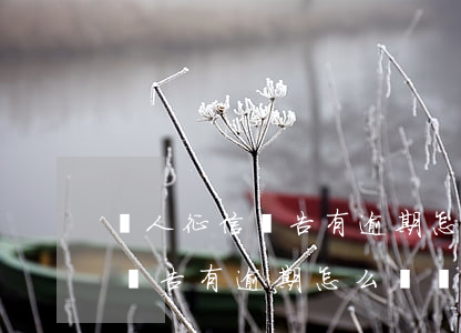 個人征信報告有逾期怎么樣處理-個人征信報告有逾期怎么樣處理呢