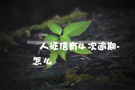 個人征信有4次逾期-個人征信有4次逾期怎么辦