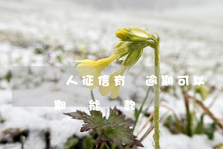 個人征信有個逾期可以貸款嗎（個人征信有逾期還能貸款嗎）