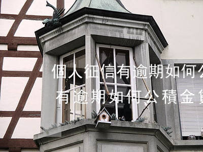 個人征信有逾期如何公積金貸款-個人征信有逾期如何公積金貸款買房呢