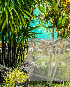 個人征信有逾期怎么處理可以消除-個人征信有逾期怎么處理可以消除記錄