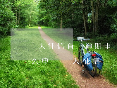個人征信有過逾期申請信用卡（信用卡逾期怎么申請個人征信）