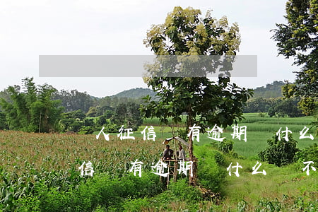 個人征信沒有逾期為什么貸不了款-個人征信沒有逾期為什么貸不了款了