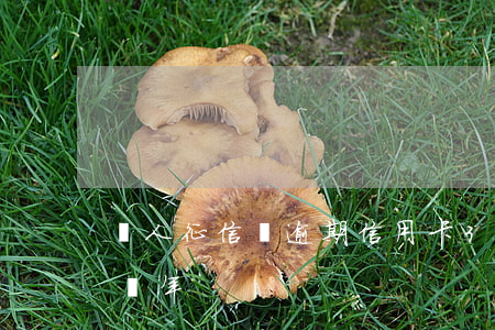 個人征信無逾期信用卡3漲(信用卡3千逾期兩年)