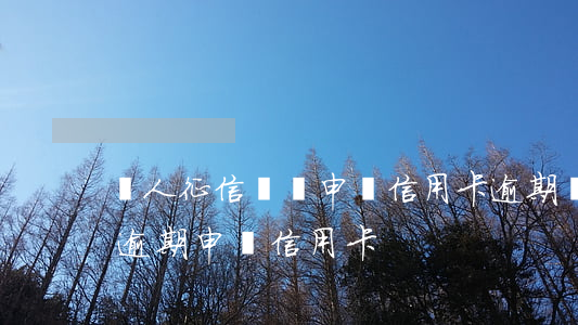 個人征信異議申訴信用卡逾期(個人征信有過逾期申請信用卡)