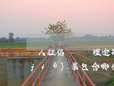 個人征信異議處理逾期(征信異議處理的結(jié)果包含哪些)
