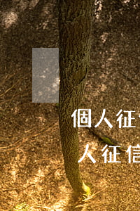 個人征信網上查詢系統(tǒng)免費(個人征信免費查詢)
